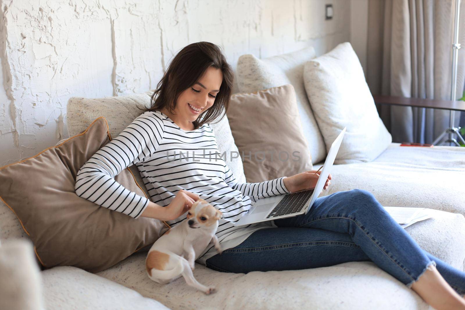 Smiling young woman sitting on sofa with laptop computer and chating with friends, little dog playing near