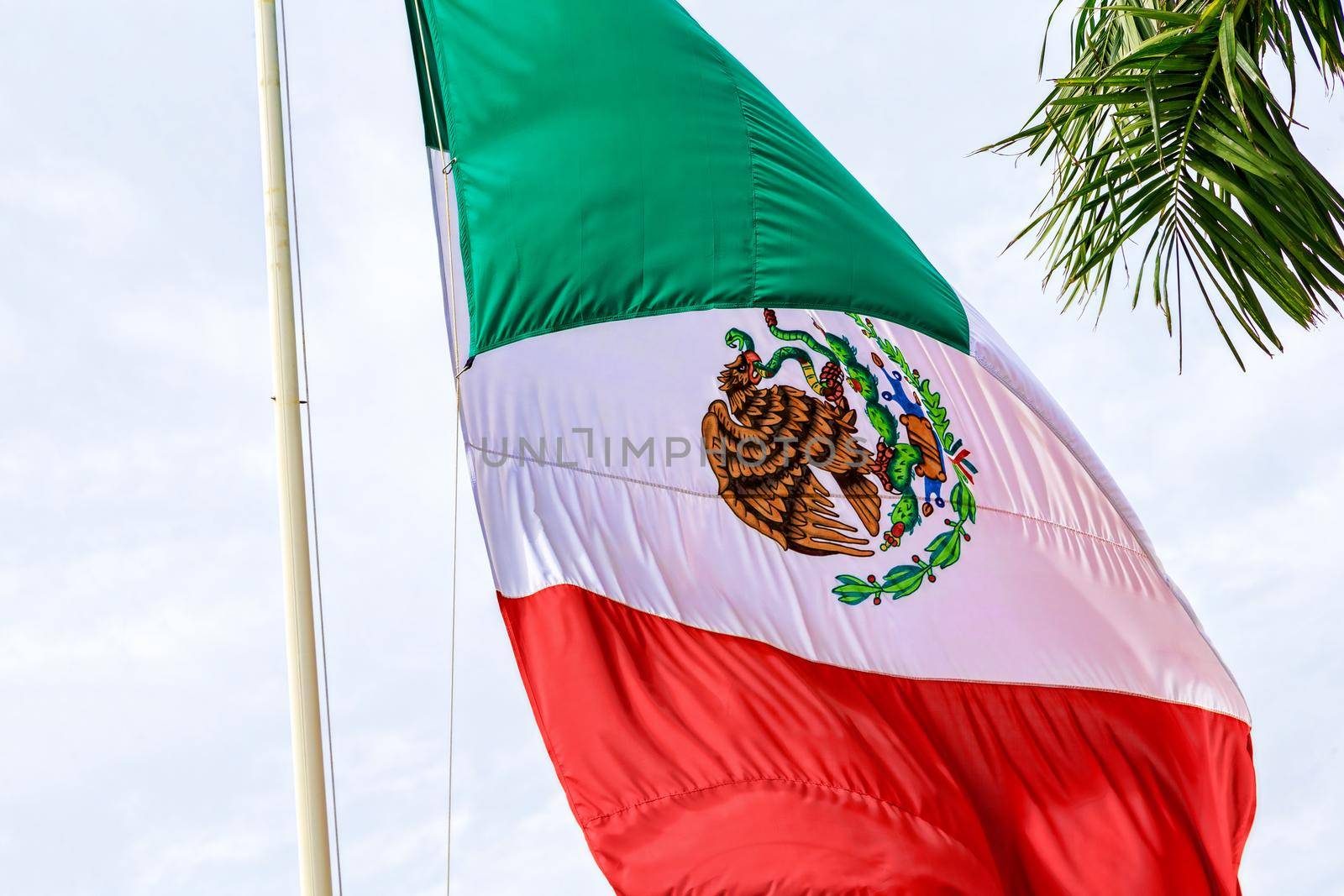 The flag of Mexico develops in the wind against a blue sky and tropical trees. United States of Mexico.