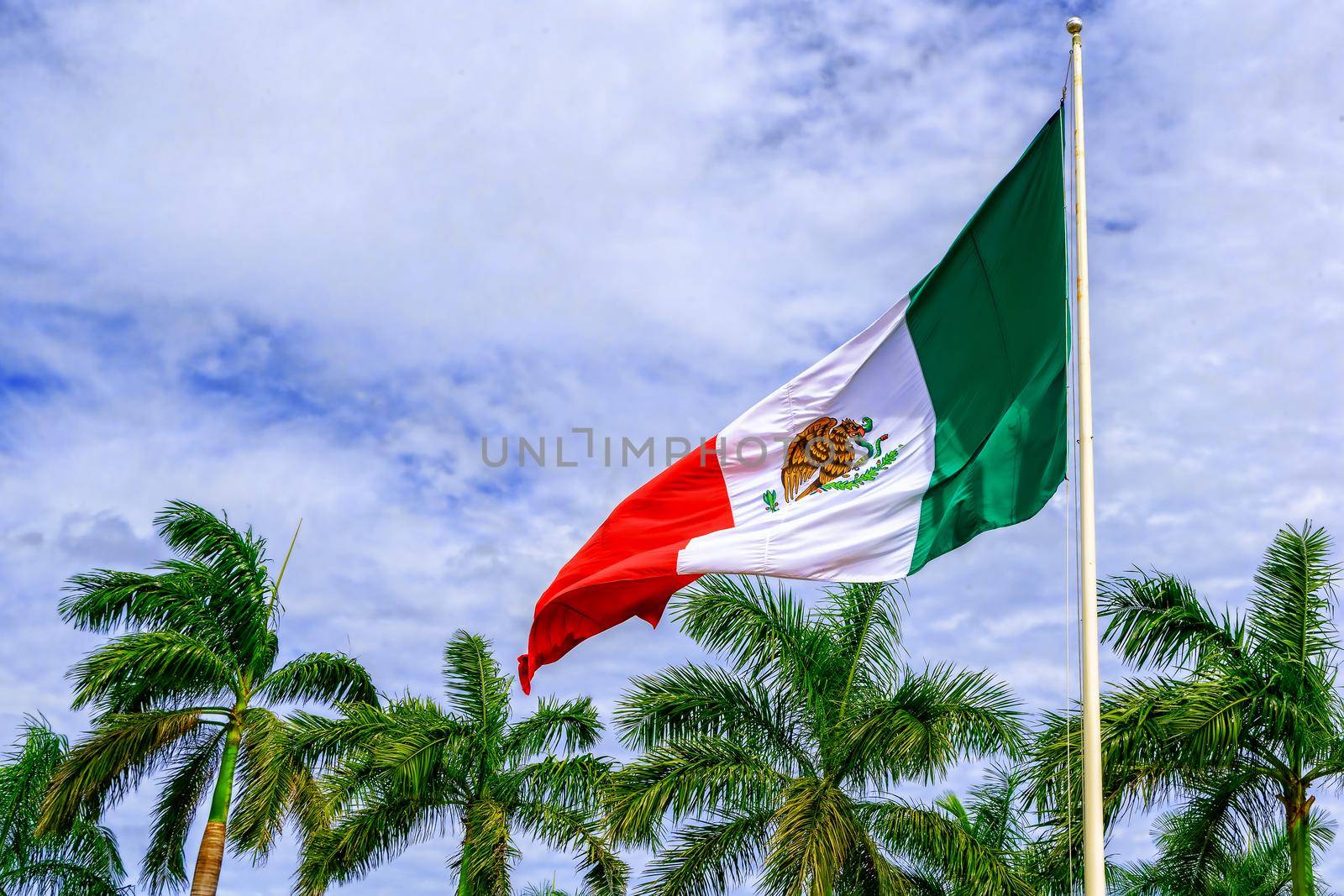 The flag of Mexico develops in the wind against a blue sky and tropical trees. United States of Mexico.