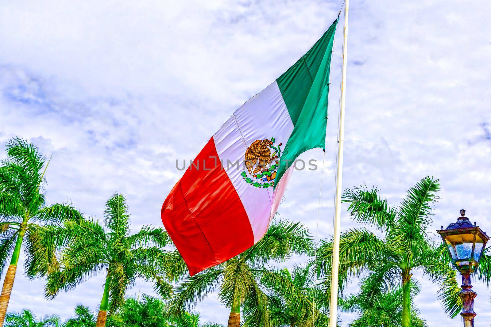 The flag of Mexico develops in the wind against a blue sky and tropical trees. United States of Mexico.