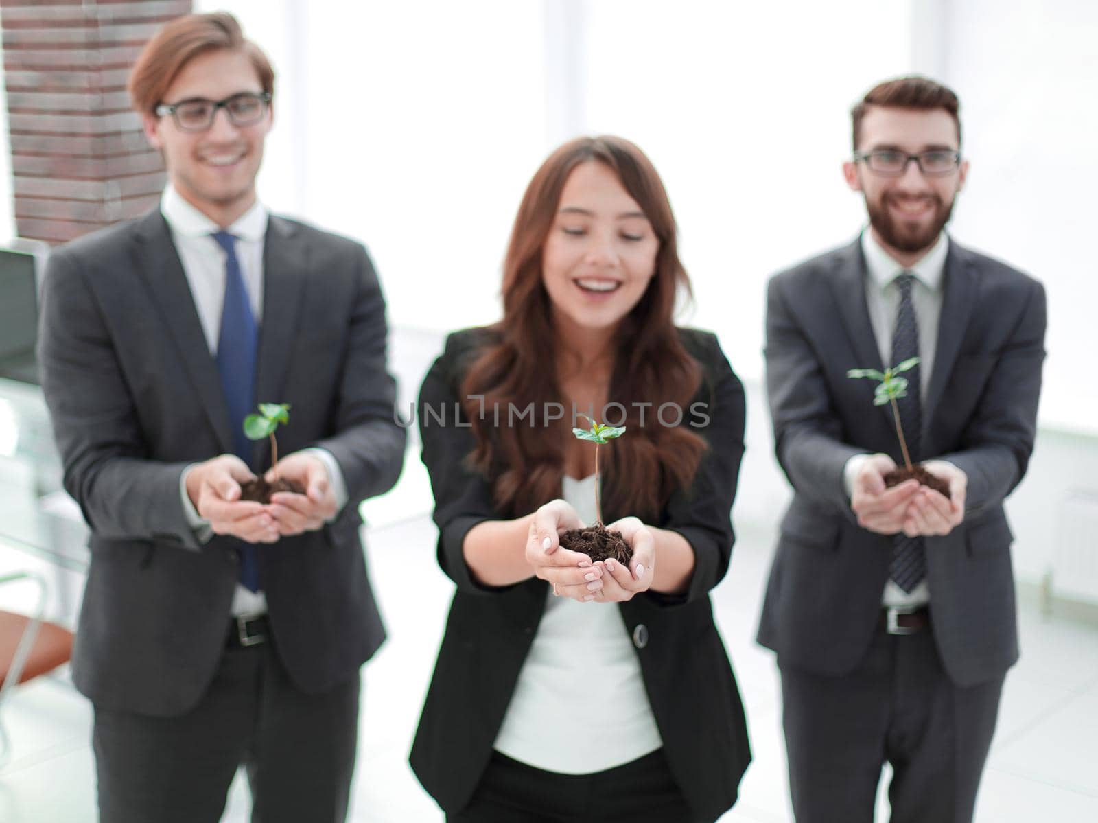 three colleagues show young sprouts .eco-business concept