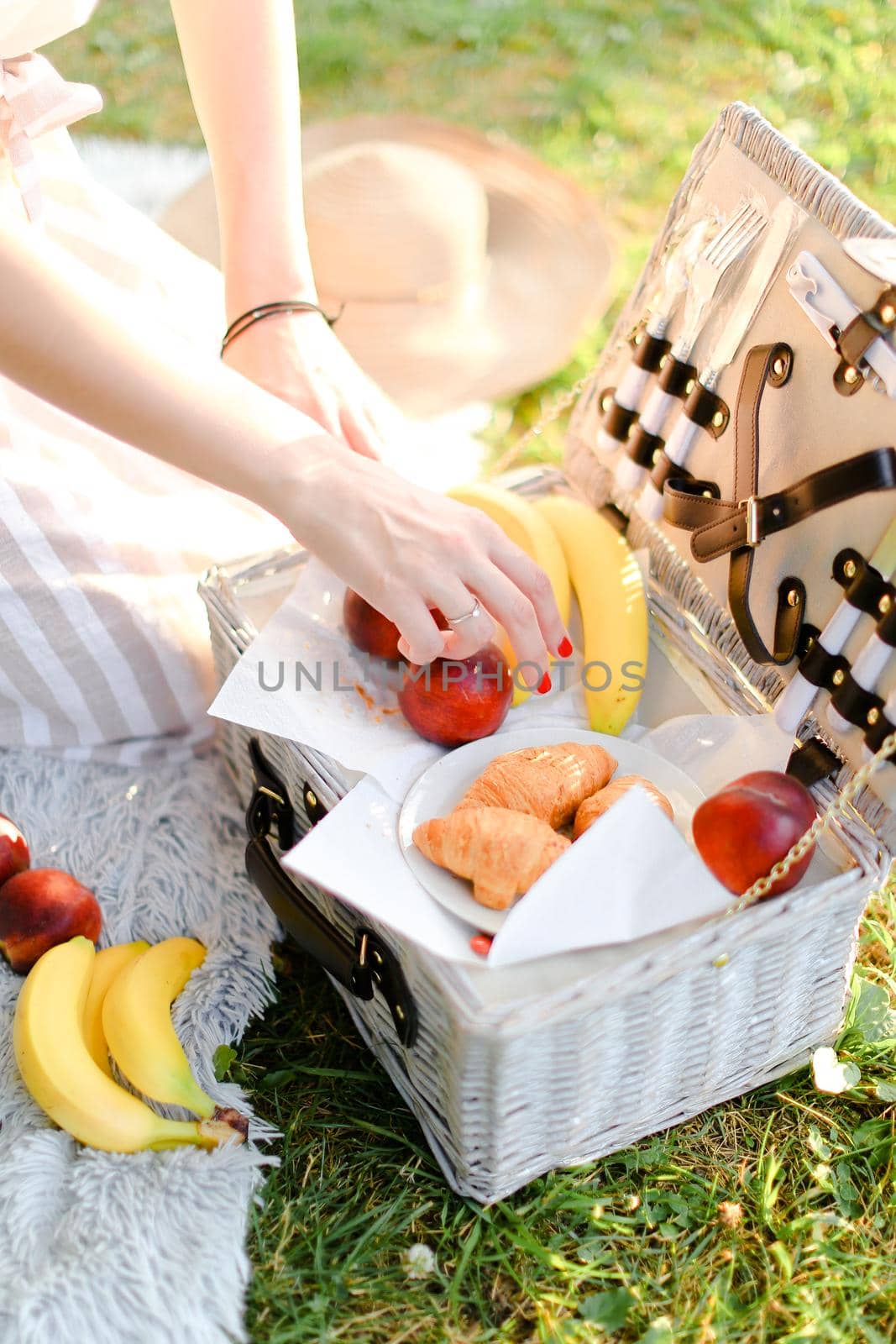 Caucasian female hands put fruits into box for picnic, grass in background. by sisterspro