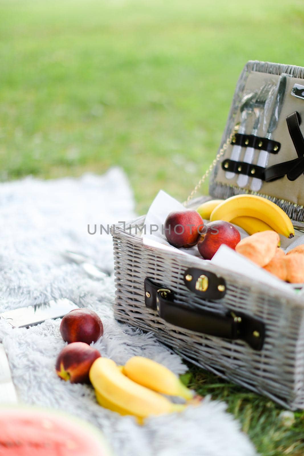 Convenient nice organizer for food, fruits on plaid and grass. Concept of picnic accessories and healthy food.