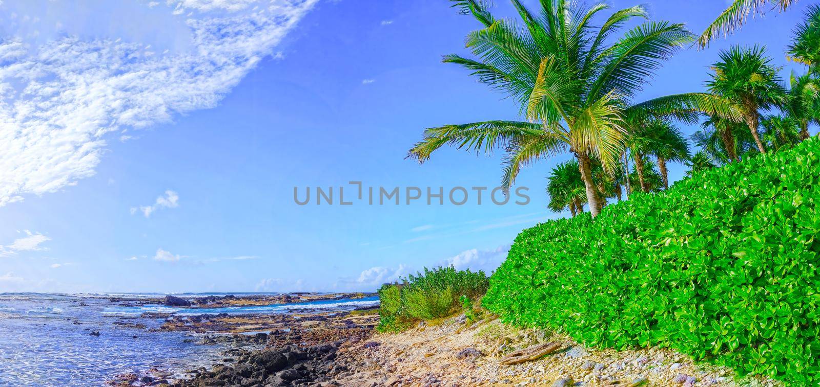 View of the turquoise ocean with a tropical beach, with green vegetation and white sand. Through the dense leaves of palm trees blue sky and sun. Summer holidays on the islands.