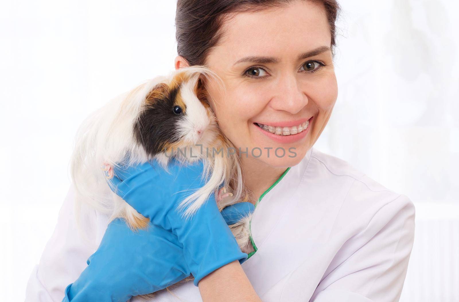 Smiling female vet doctor with guinea pig looking in camera