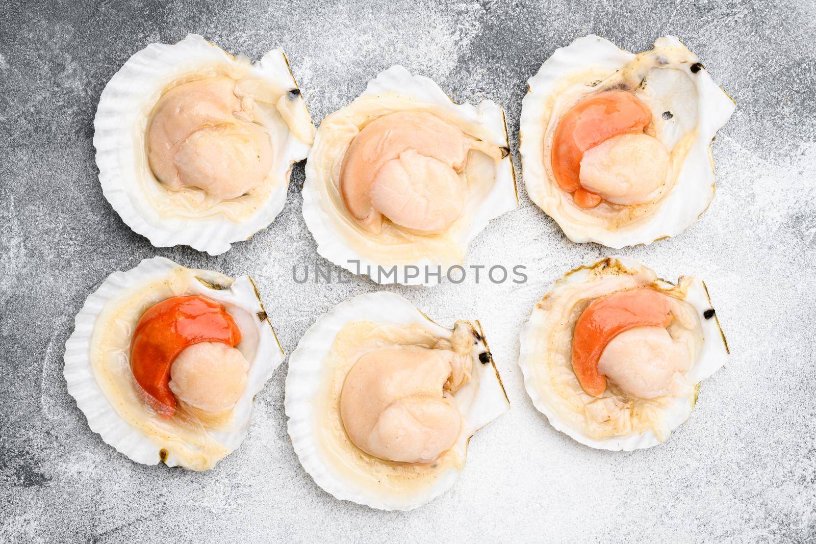 Fresh scallops for a baked recipe set, on gray stone table background, top view flat lay