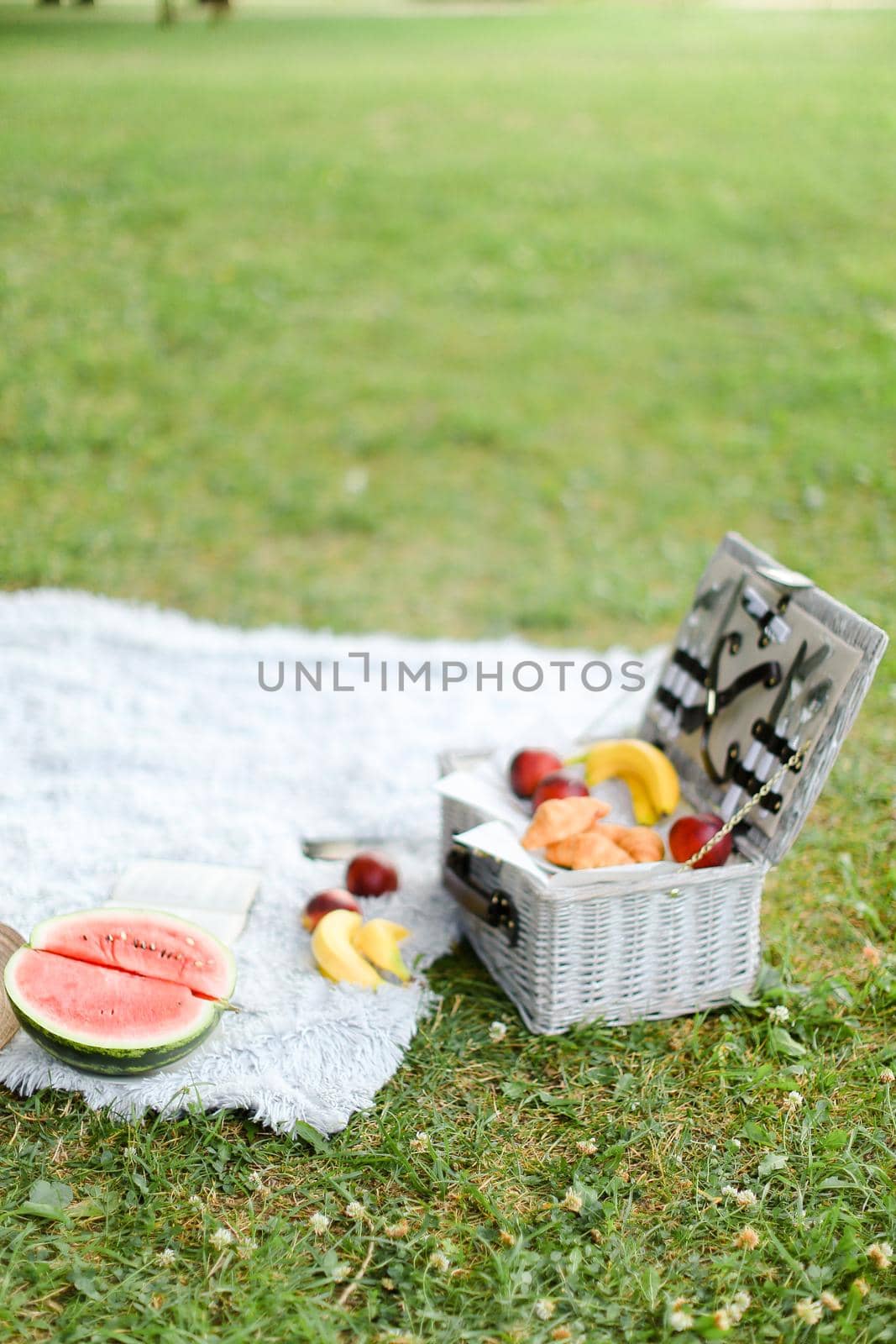 Convenient organizer for food, fruits and watermelon on plaid and grass. by sisterspro