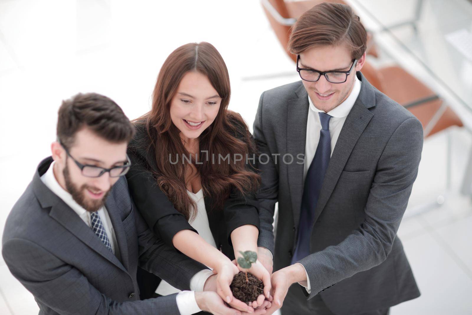 Business team holding together fresh green sprout.eco-business concept