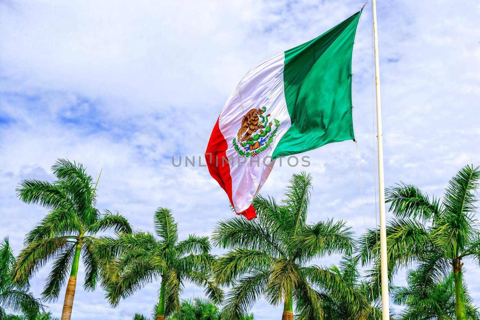 The flag of Mexico develops in the wind against a blue sky and tropical trees. United States of Mexico.