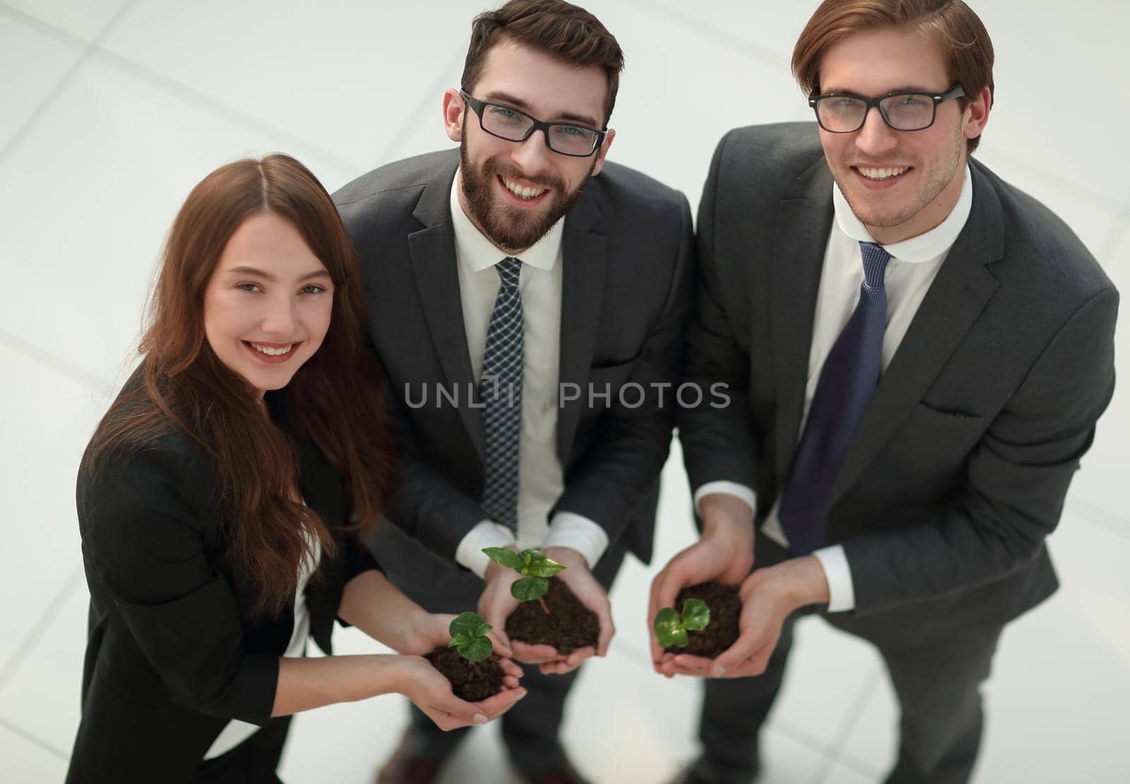 group of business environmentalists keeps green sprouts.eco-business concept