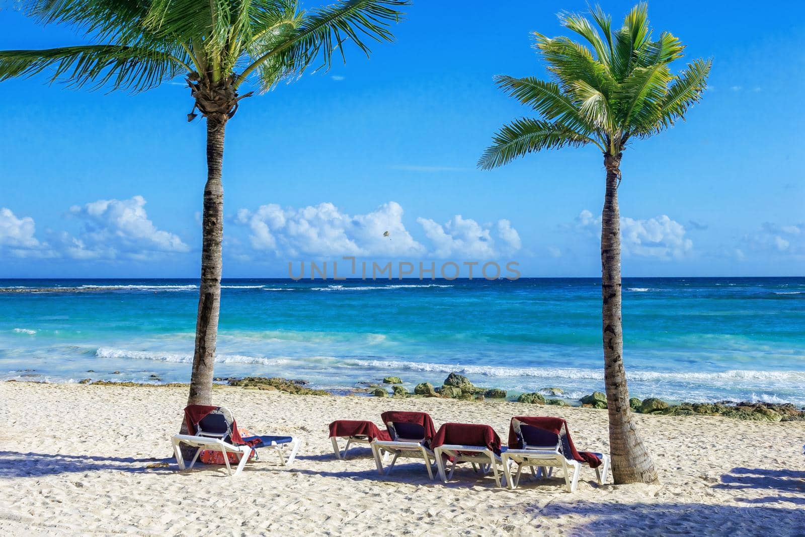 Sun lounger among palm trees on the perfect tropical coast, fresh green palm trees standing around on the beach with white sand and a cloudless blue sky on a sunny day. Spa concept.