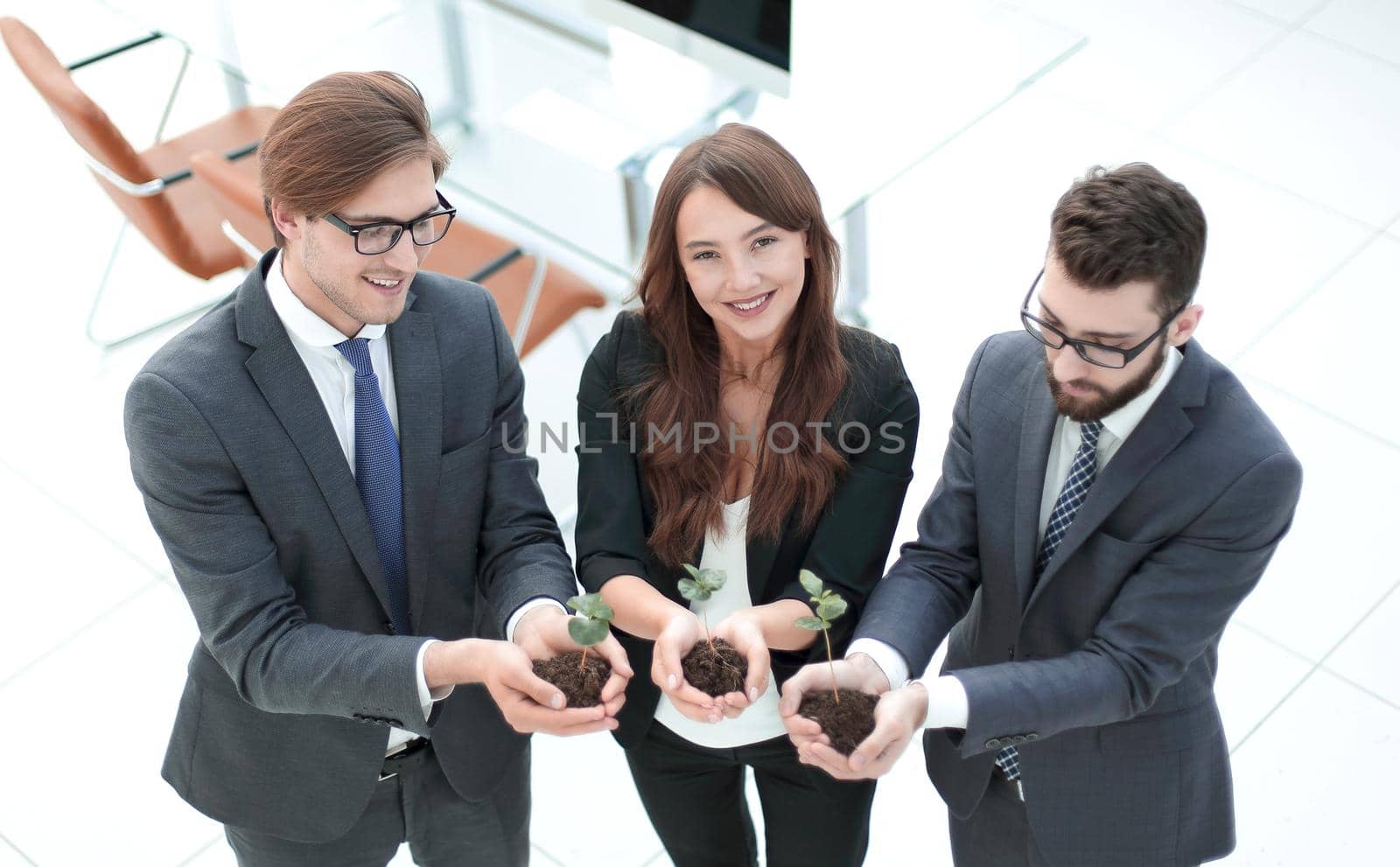 three colleagues hold young shoots .photo with copy space
