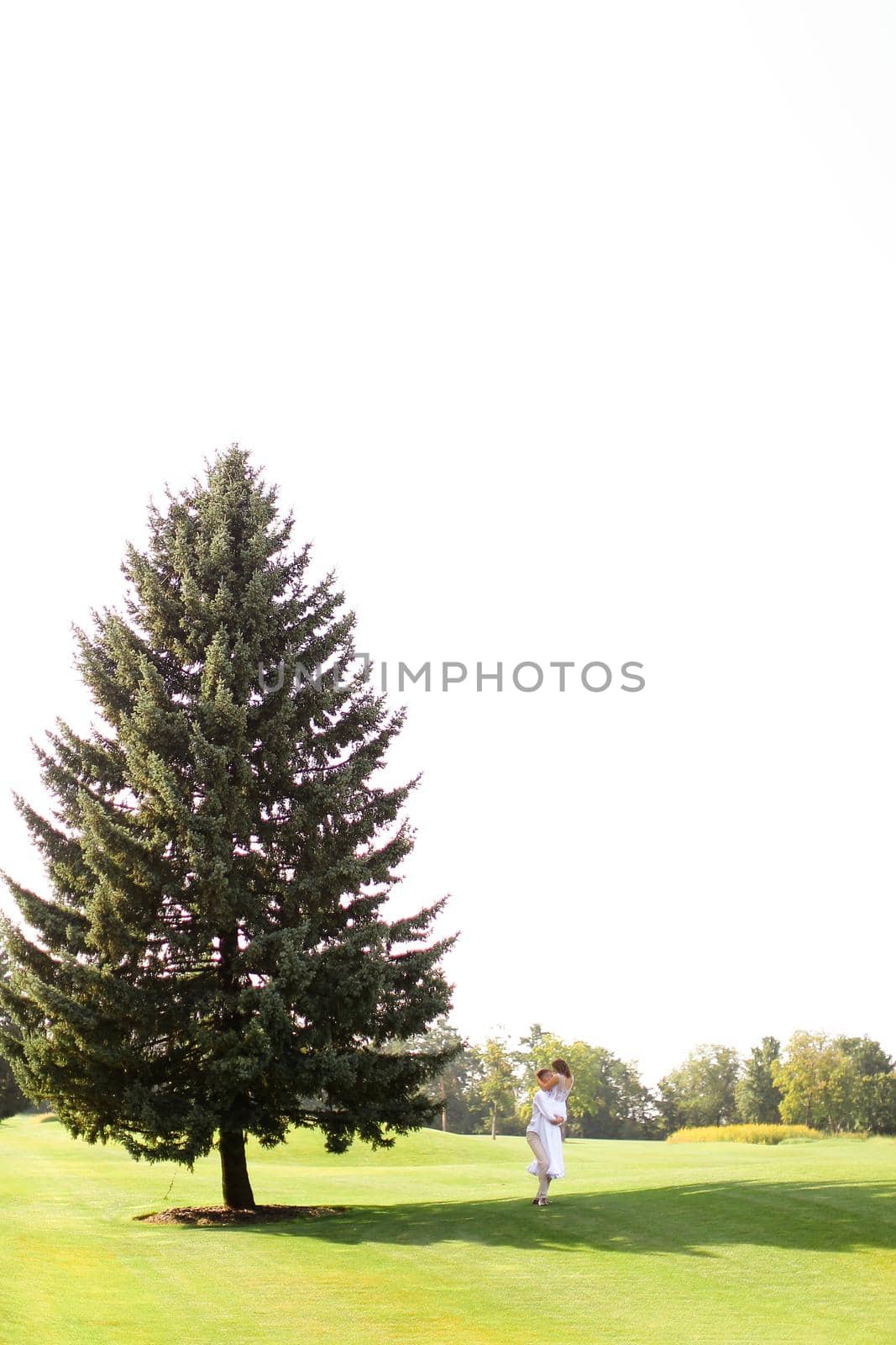 Young caucasian couple walking near green big spruce on grass in white sky background. Concept of evergreens and wedding.