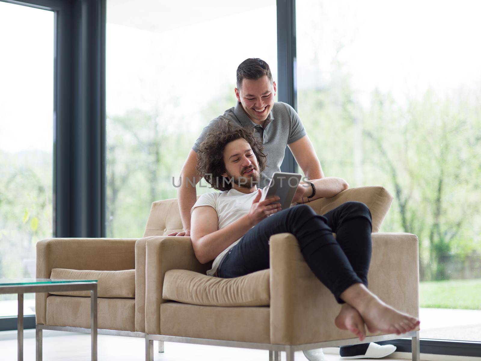 Gay Couple Love Home Concept. gay couple enjoying leisure time in living room