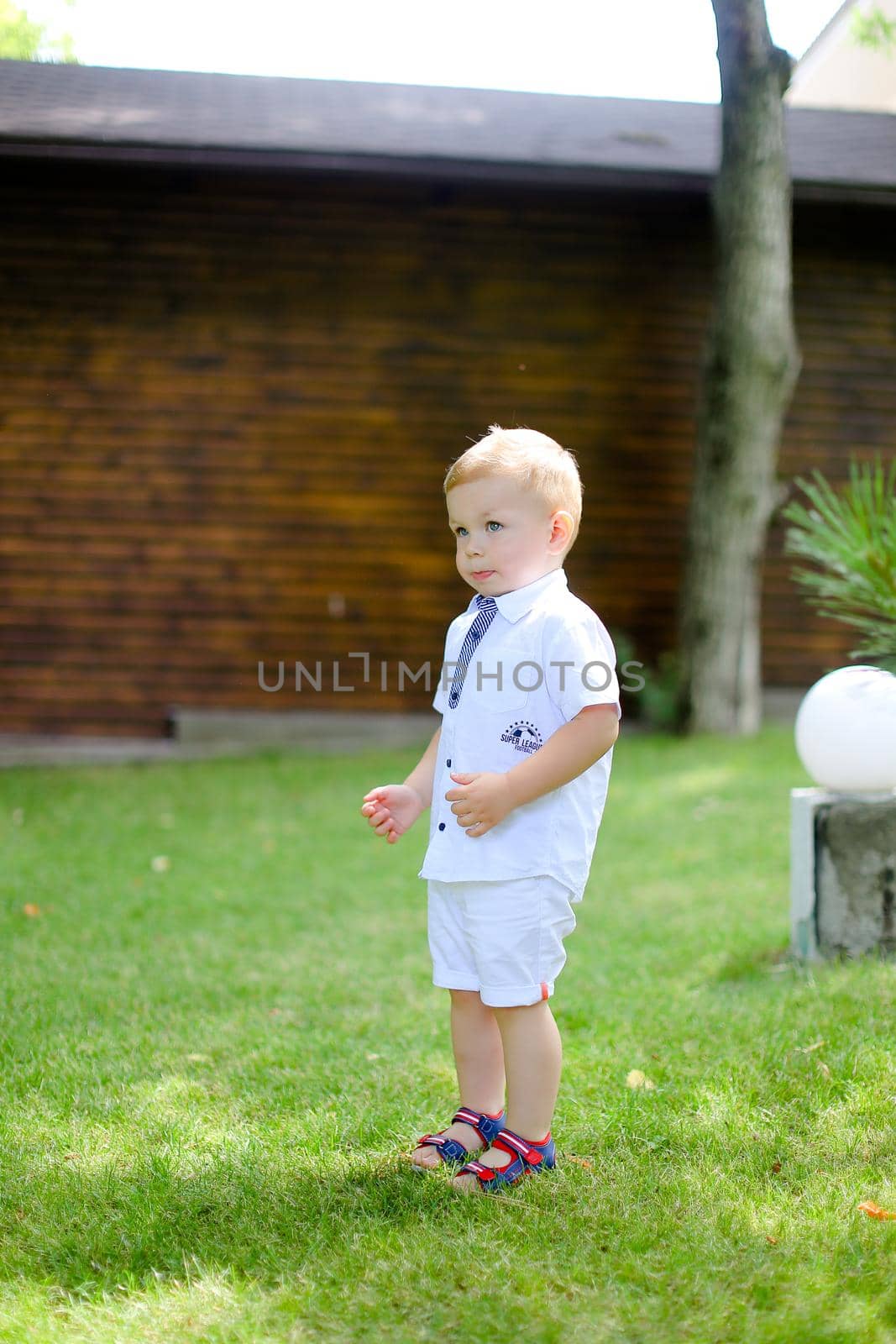 Little caucasian male baby standing on grass. by sisterspro