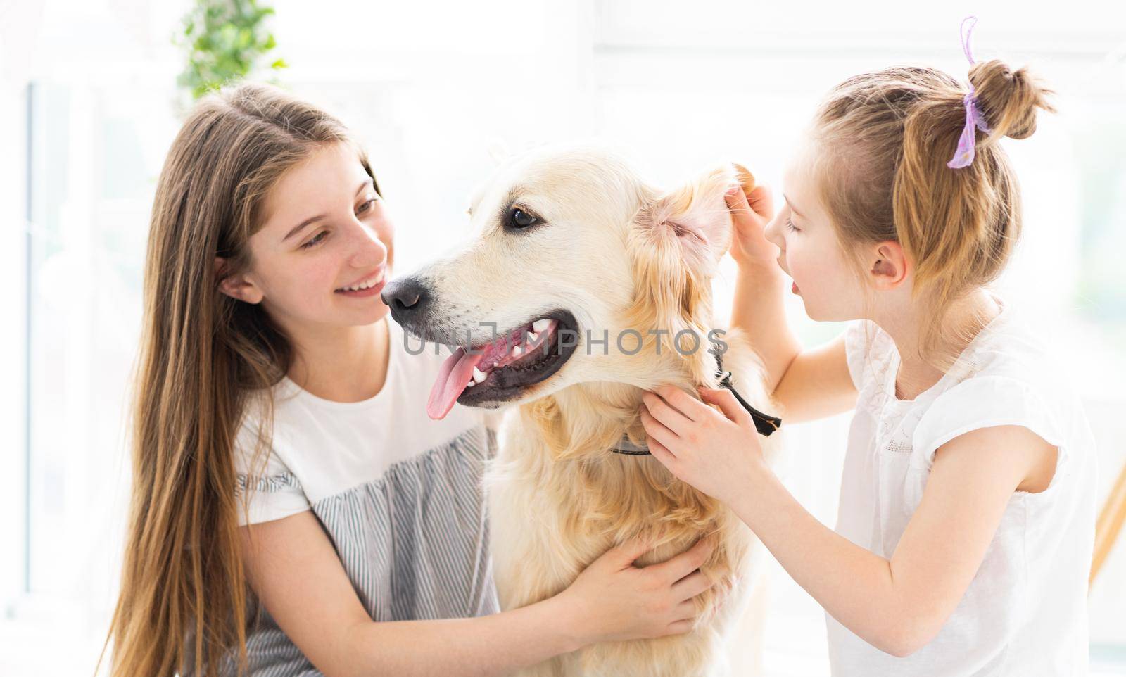 Smiling friends playing with cute dog by GekaSkr