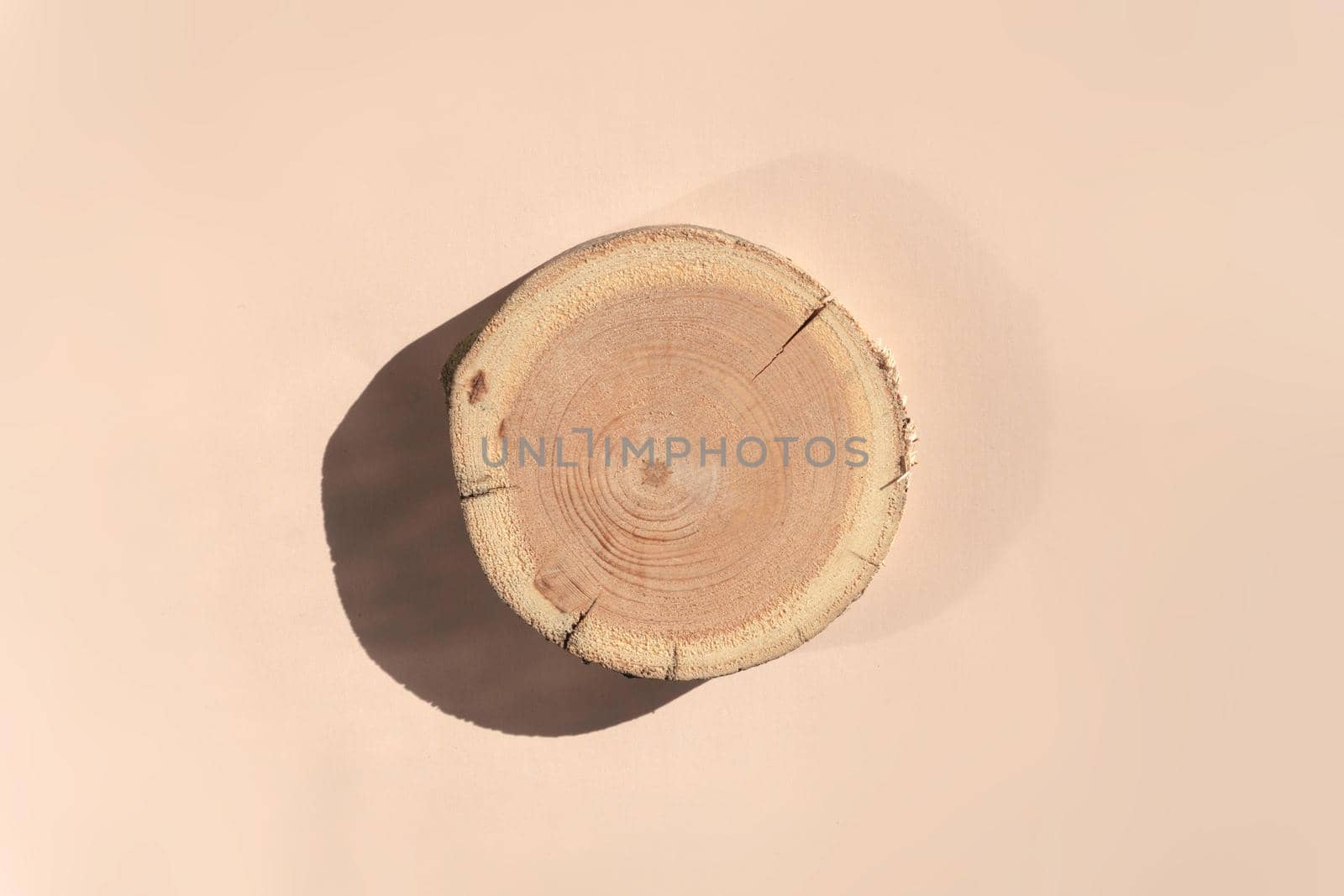 Woodcut lying on a trendy beige background. A wooden platform for luxury and natural cosmetics or products presentation. Wooden tray mockup in the sunlight. Top view