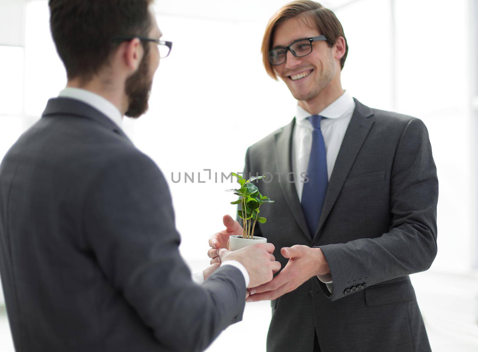 business partners are holding a young seedling. photo with copy space
