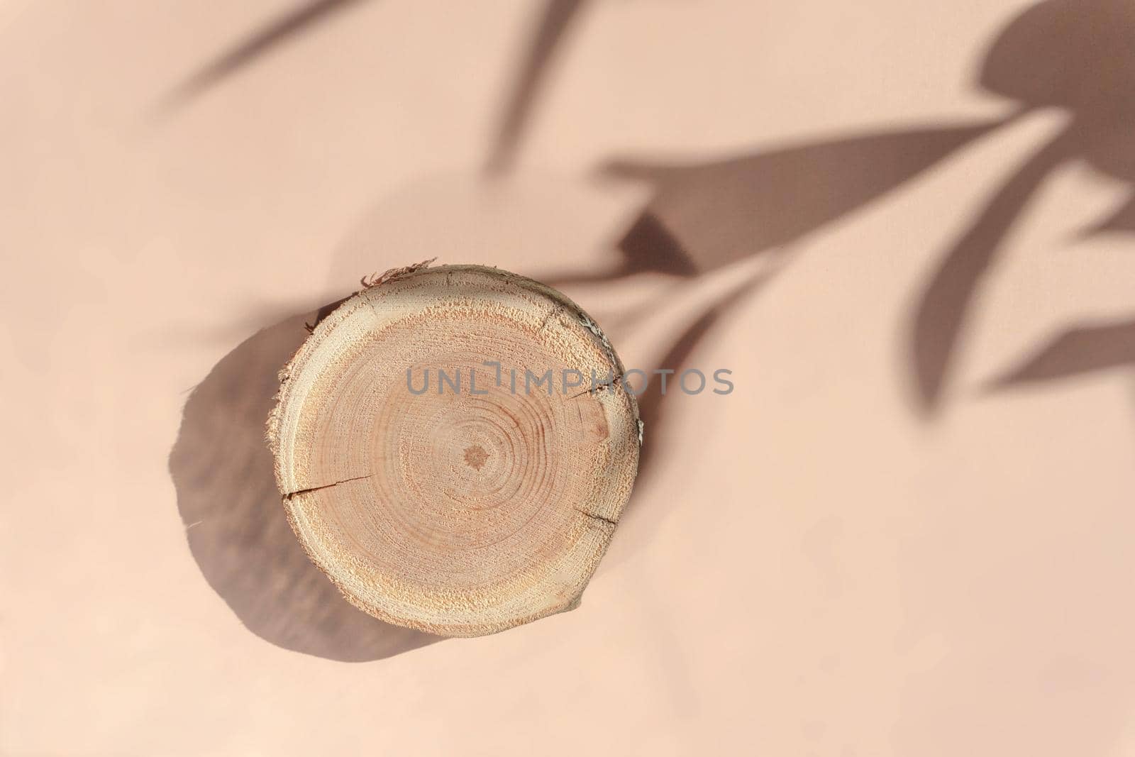 Woodcut lying on a trendy beige background with shadows of flowers. A wooden platform with shades for natural cosmetics or products presentation. Wooden tray mockup in the sunlight. Top view