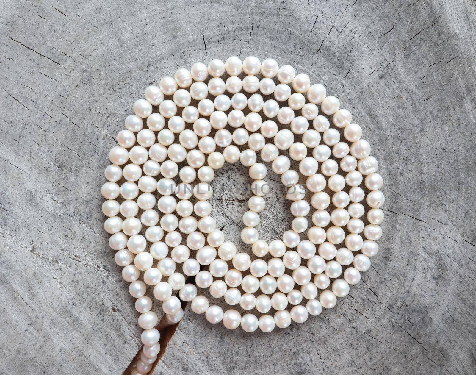 Spiral from white pearl beads look like a dandelion on rough surface of an old stump. High quality photo