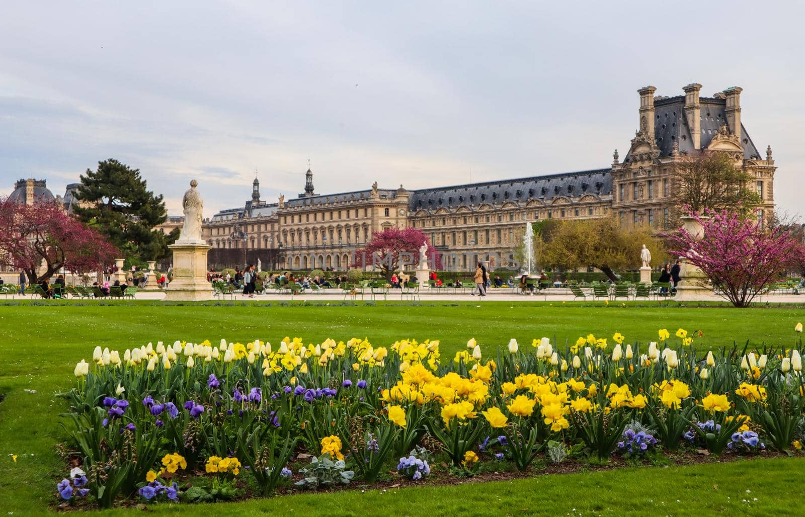 Marvelous spring Tuileries garden and view at the Louvre Palace in Paris France. April 2019