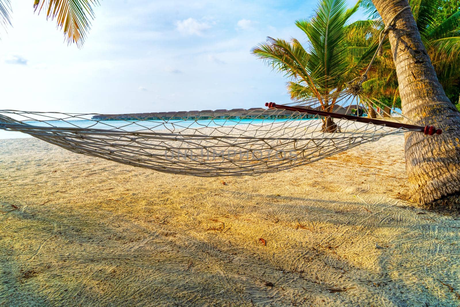 Maldives. Paradise on earth.Empty hammock between palms trees at sandy beach. View of nice tropical beach with palms around. Holiday and vacation concept