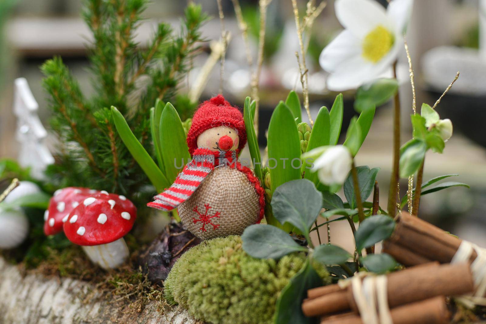 Christmas composition with hyacinths and snowman