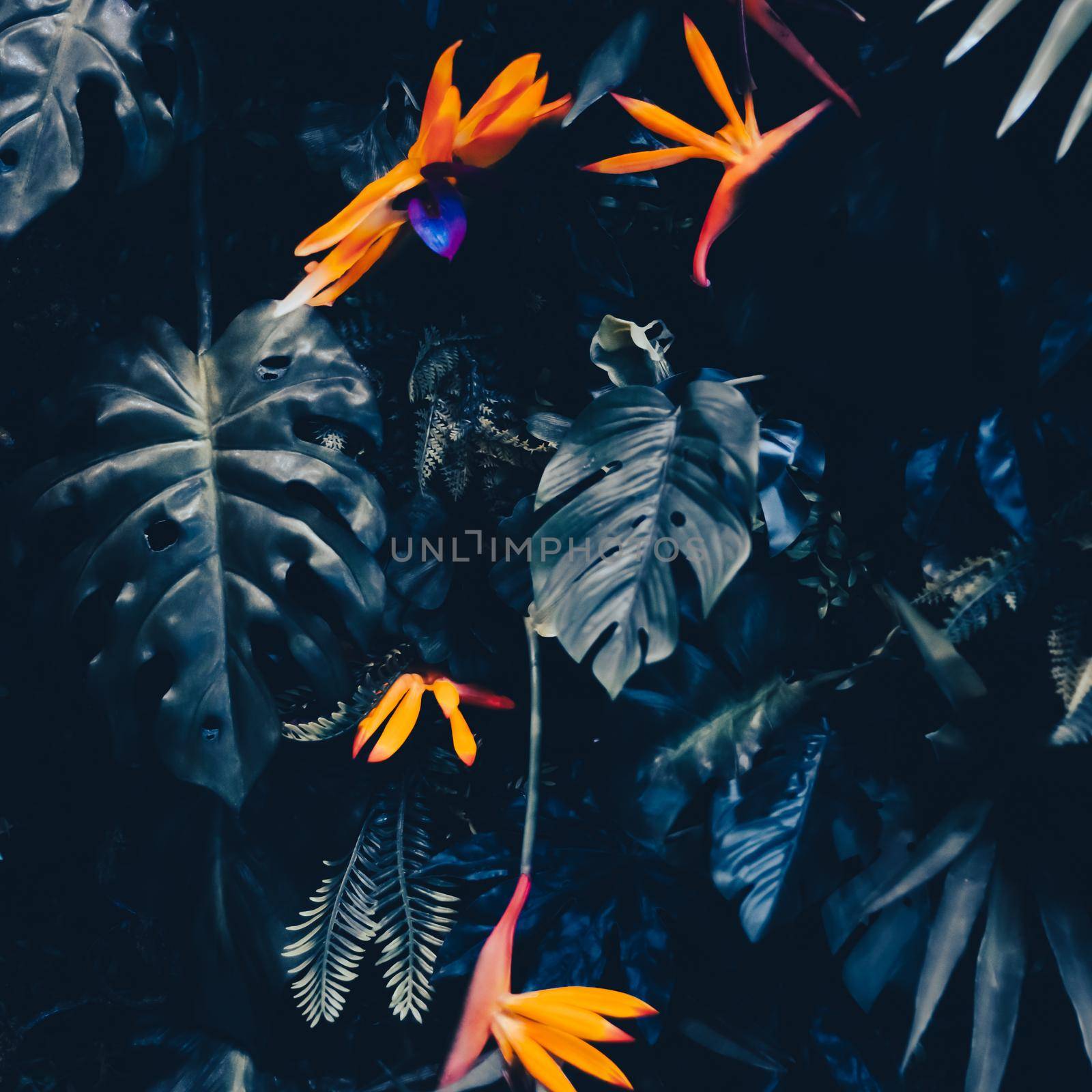 Tropical leaves as nature and environmental background, botanical garden and floral backdrop, plant growth and landscape design by Anneleven