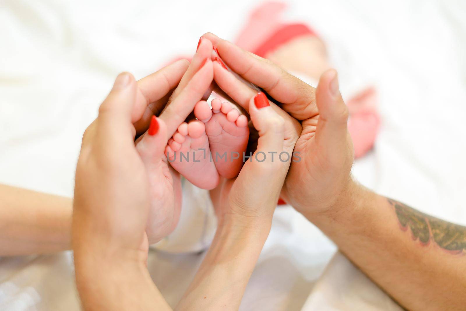 Mother and father hands holding newborns baby legs in white background. Concept of happy family and babes.