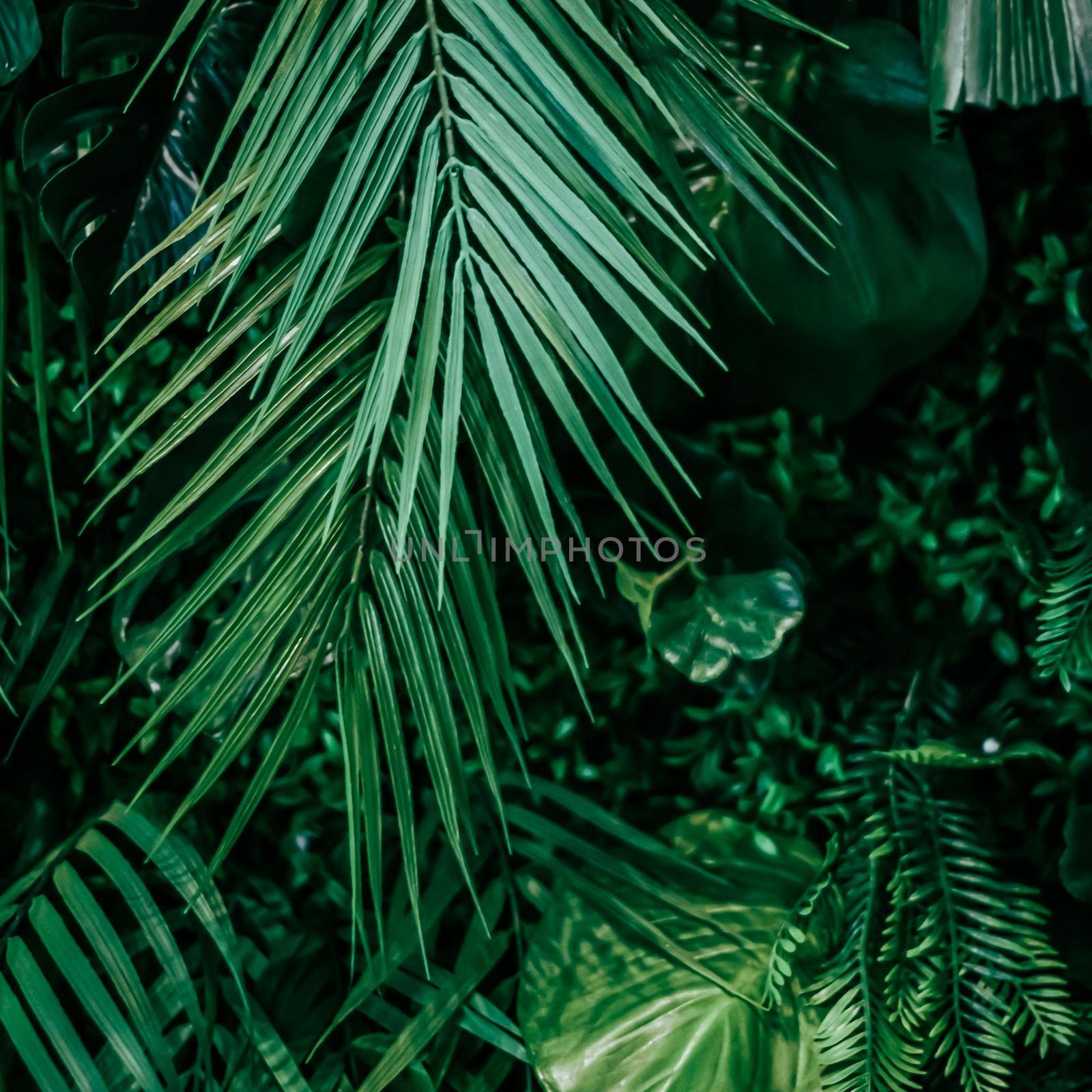 Tropical leaves as nature and environmental background, botanical garden and floral backdrop, plant growth and landscape design by Anneleven