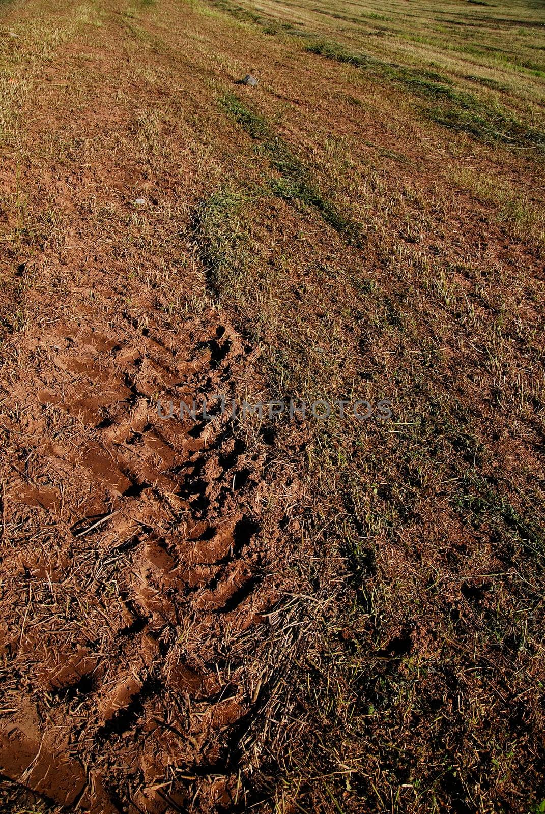 tractor trail on ground by dotshock