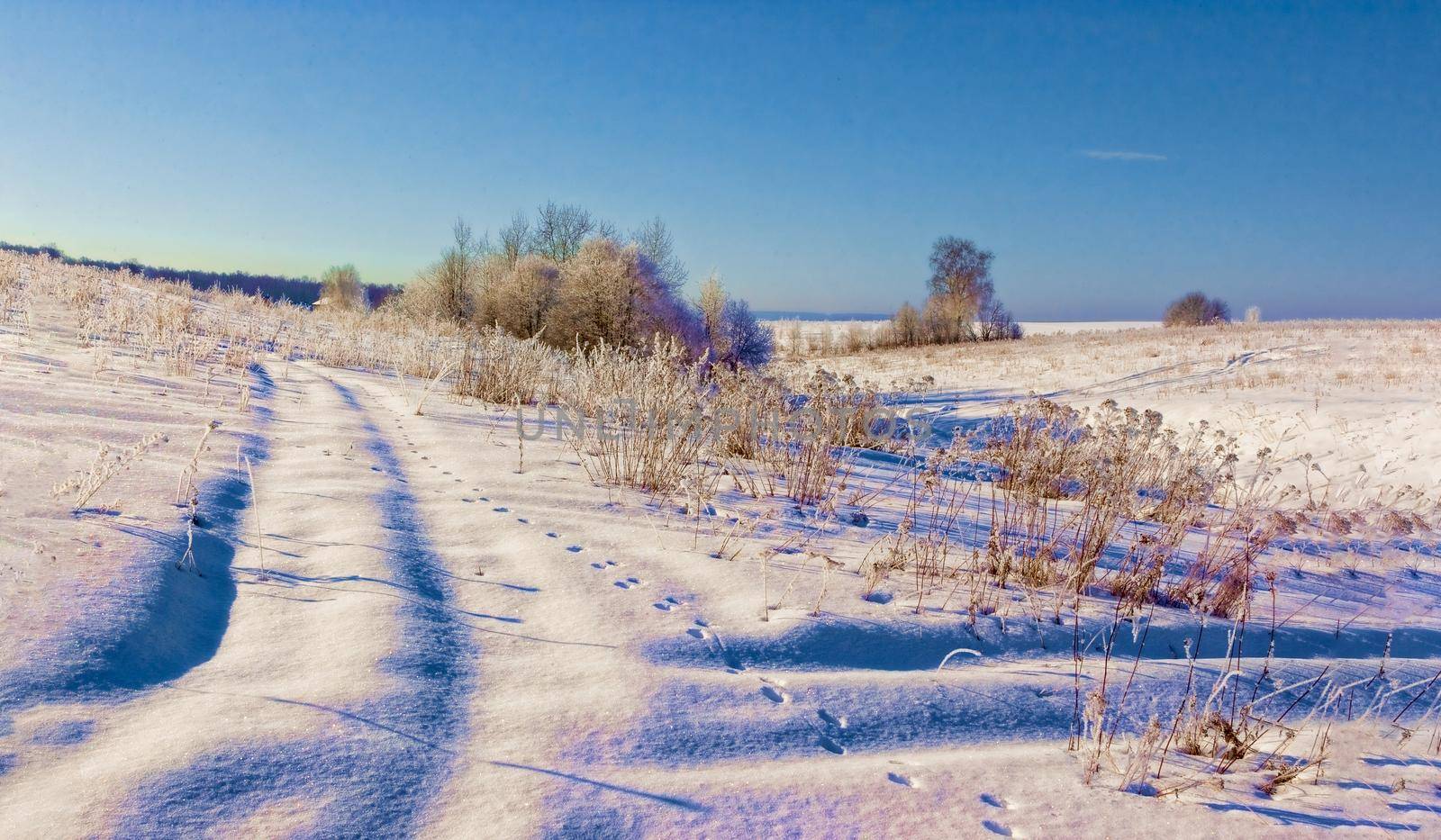 Beautiful winter landscape in the Moscow region. by kolesnikov_studio