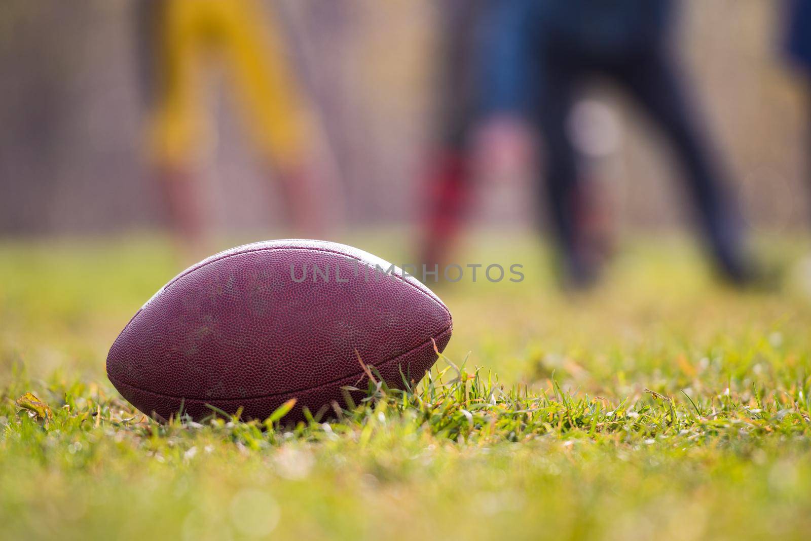 Pro American Football on the field with green grass players in the background