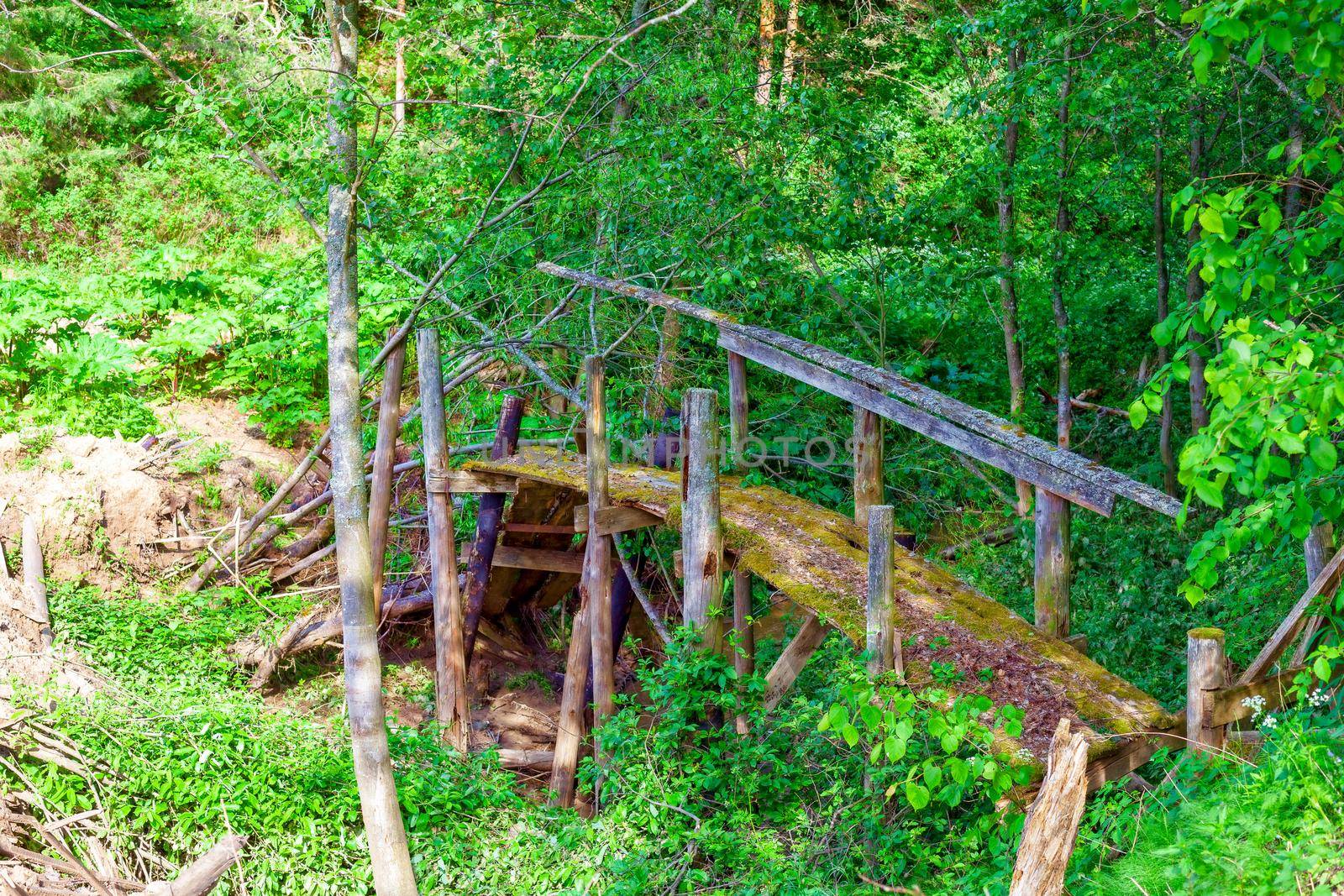 Old half-rotten wooden bridge covered with moss over a narrow stream. Long no longer used by humans. Kozionikha village, Kostroma region, Russia.