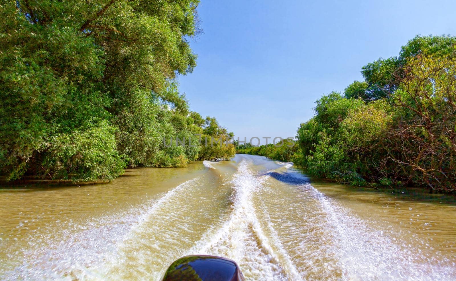 View from the motorboat to the beautiful nature and the river. by kolesnikov_studio