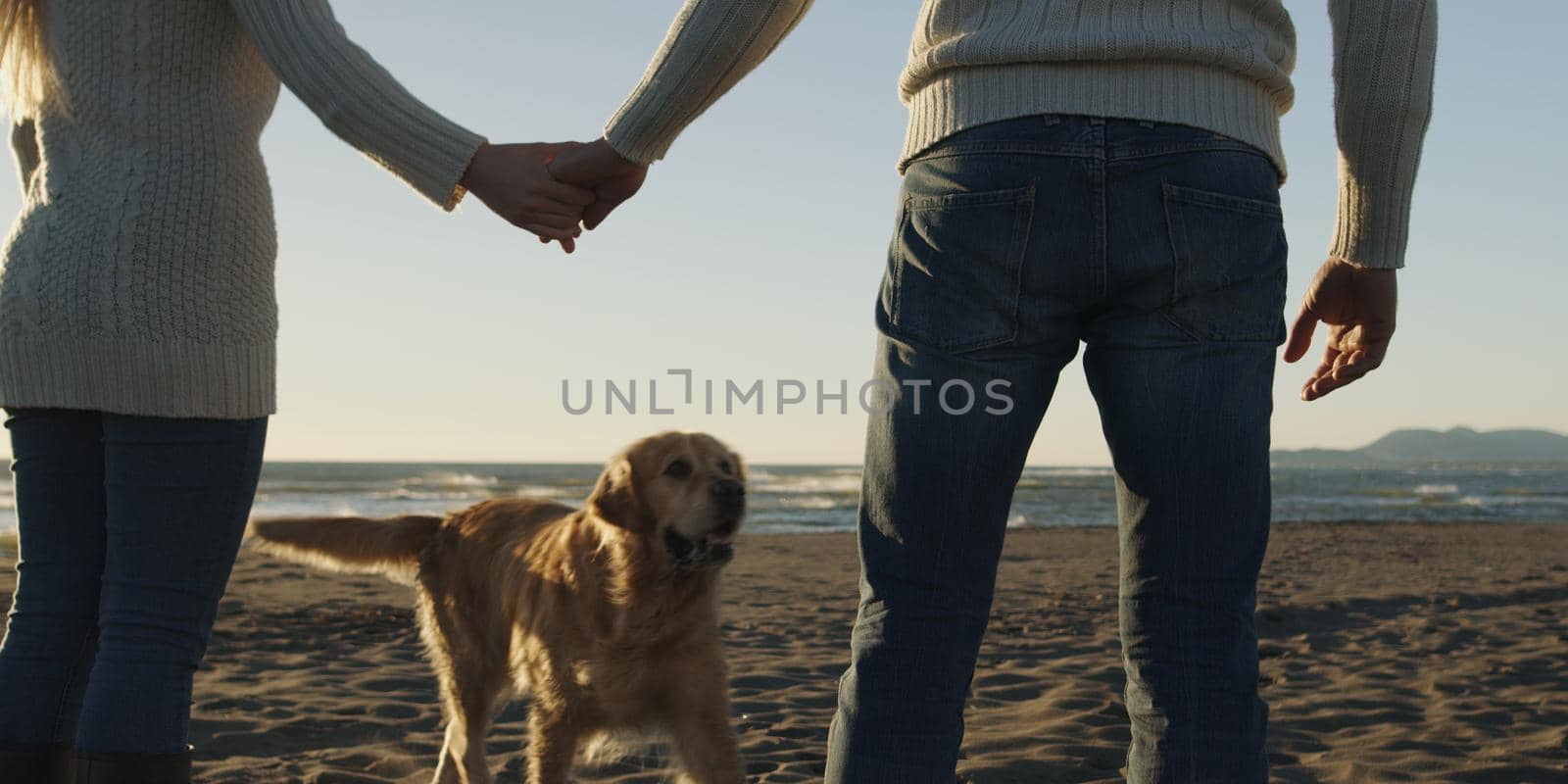 couple with dog having fun on beach on autmun day by dotshock