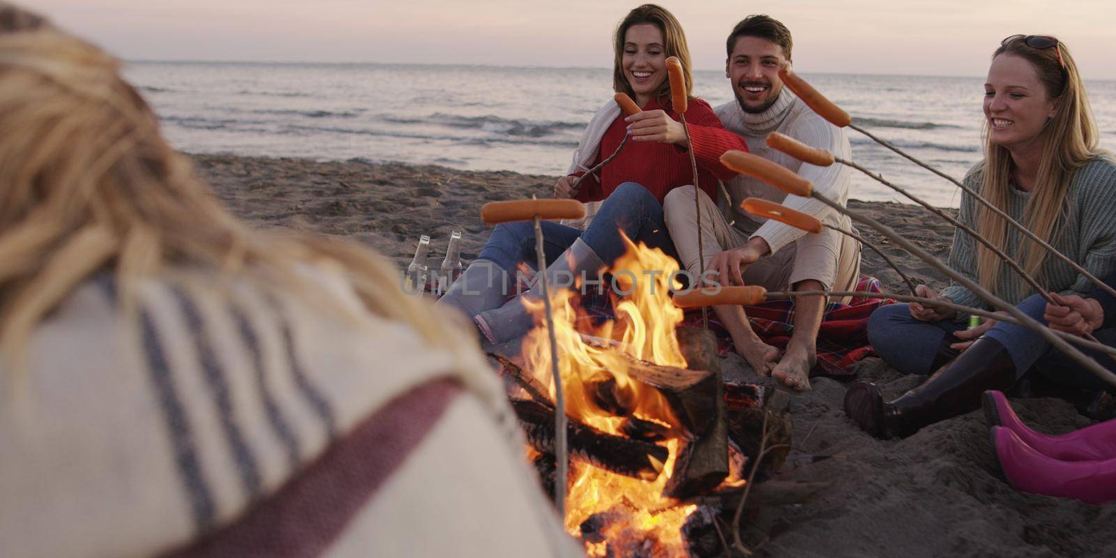 Group Of Young Friends Sitting By The Fire at beach by dotshock