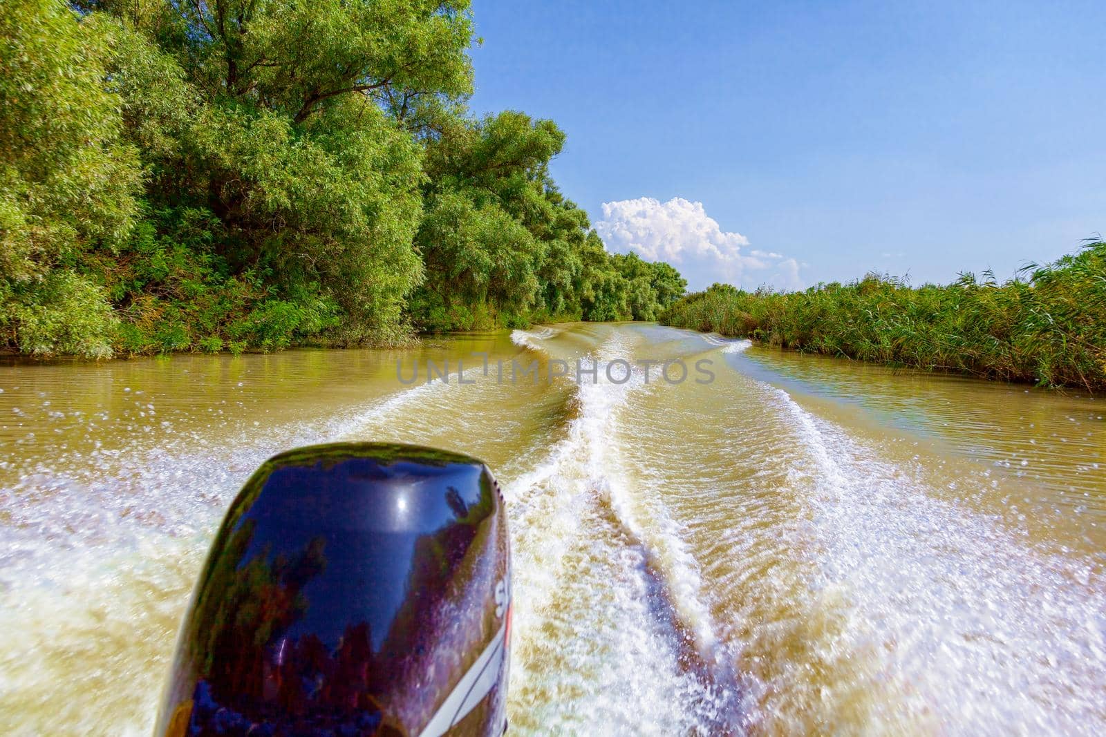 Beautiful view from the motorboat to the dense greens and the warm river. Russia, Krasnodar region. Travel concept, summer vacation.