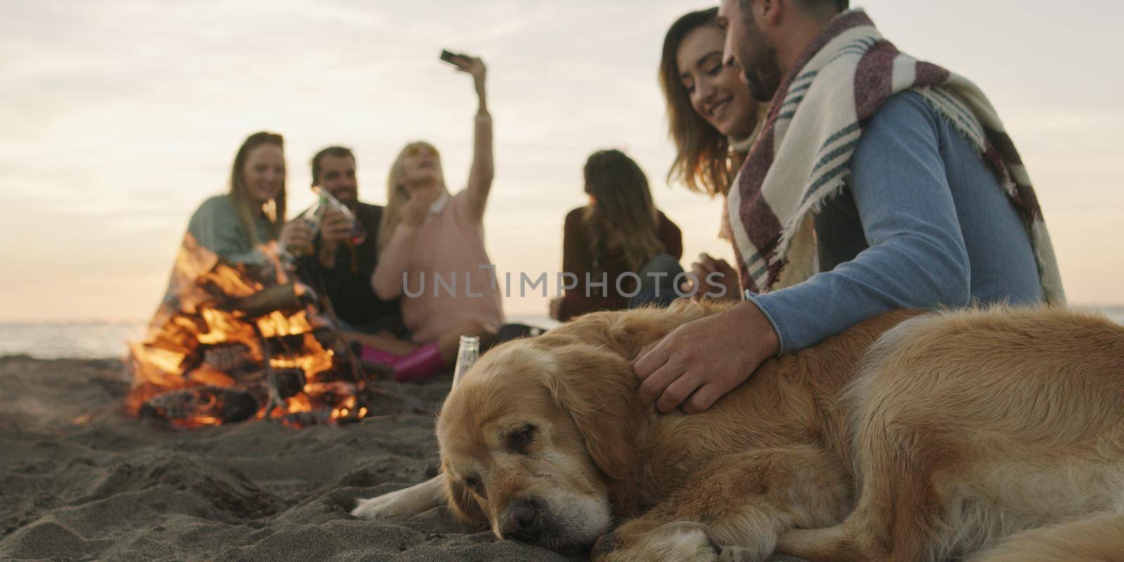 Group of friends with dog relaxing around bonfire on the beach at sunset