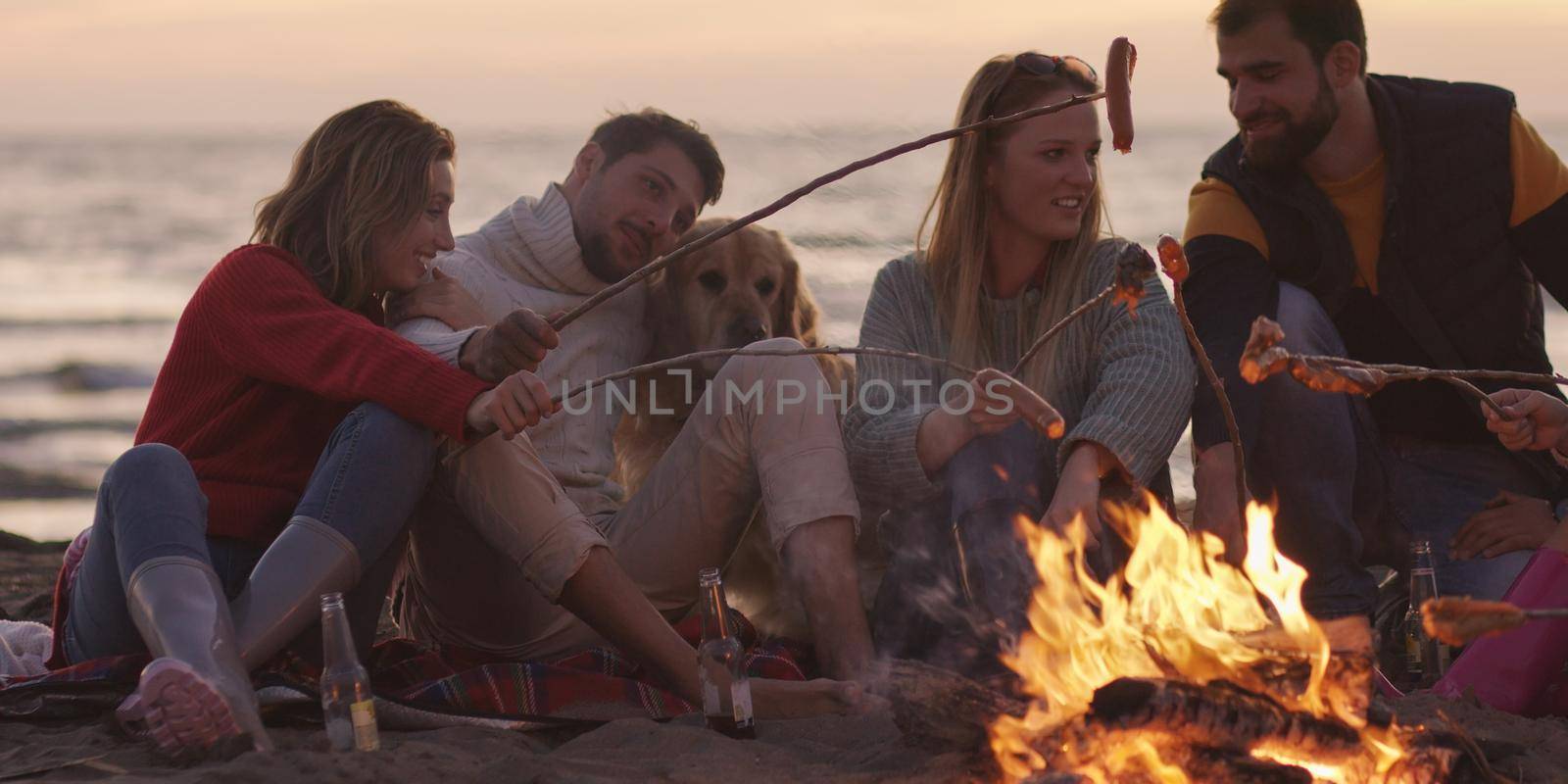 Group Of Young Friends Sitting By The Fire at beach by dotshock