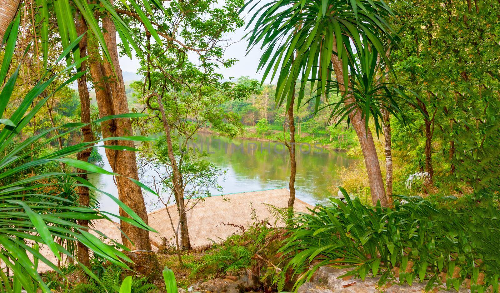 The view from the shore through the palm trees on the beautiful green river. Valley Green River Kwai, Kanchanaburi, Thailand.