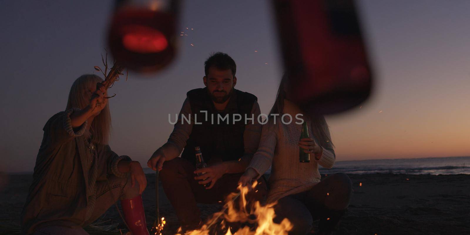 Young Friends Making A Toast With Beer Around Campfire at beach by dotshock