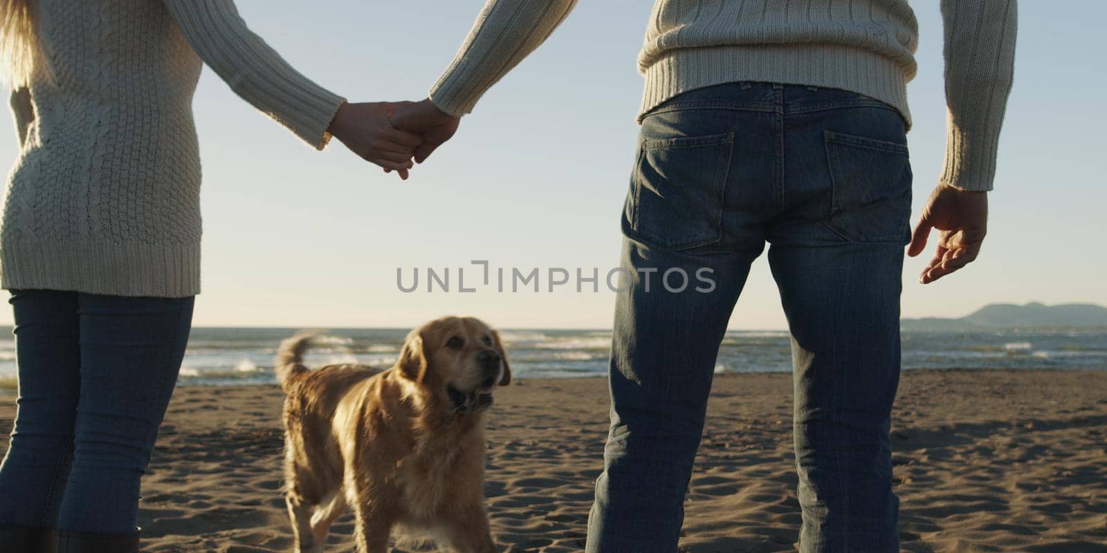 Couple Running On The Beach Holding Their Hands with dog On autmun day