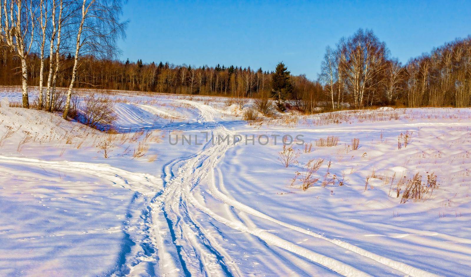 Beautiful winter landscape in Russia, Moscow region. The concept of Christmas, winter outdoor recreation.