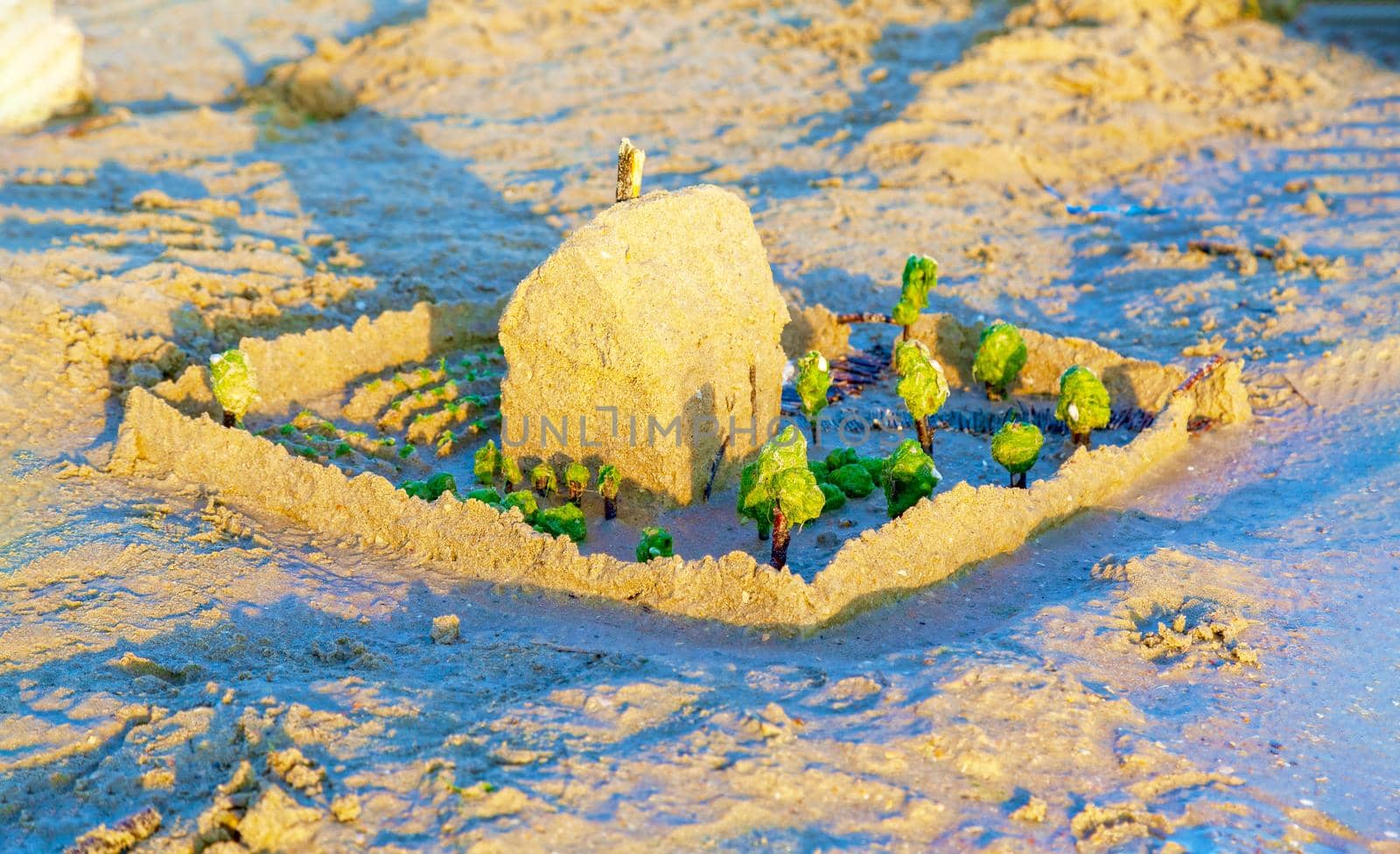 Beautiful sand castle illuminated by the morning sun on the beach of the tropical sea. The concept of a family vacation at sea.