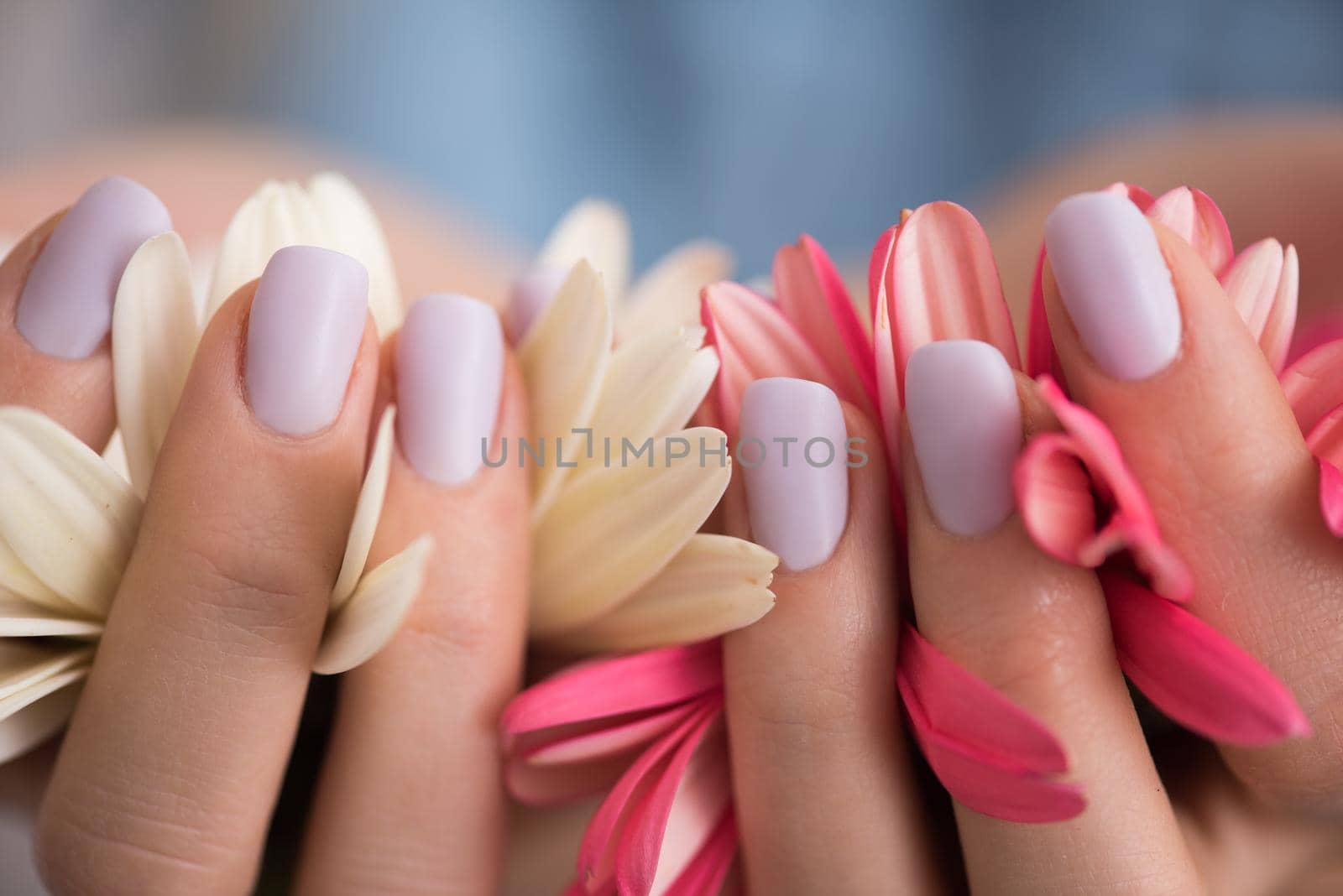 beauty delicate woman hands with manicure holding flower close up