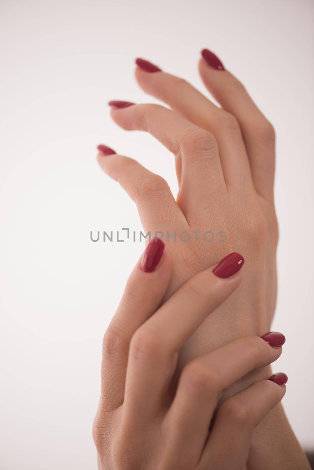 closeup of hands of a young woman with long red manicure on nails against white background