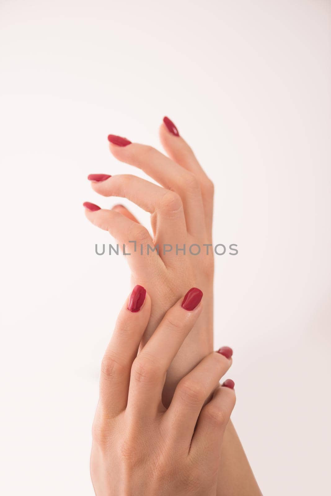 closeup of hands of a young woman with long red manicure on nails against white background