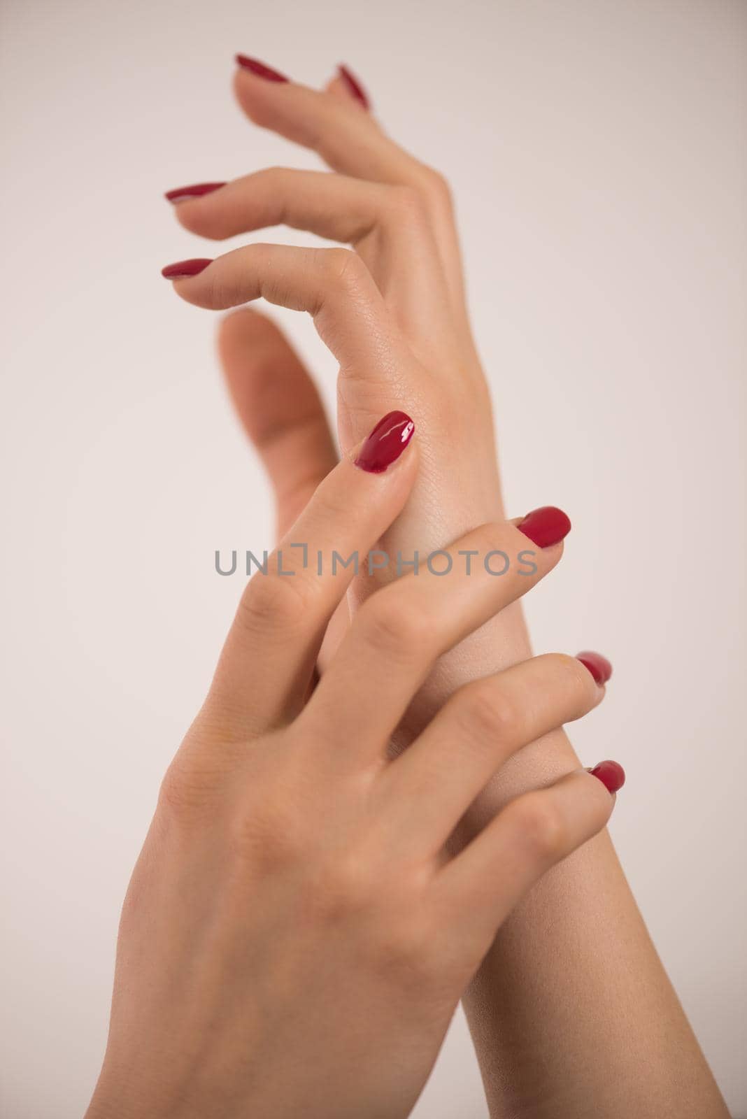closeup of hands of a young woman with long red manicure on nails against white background
