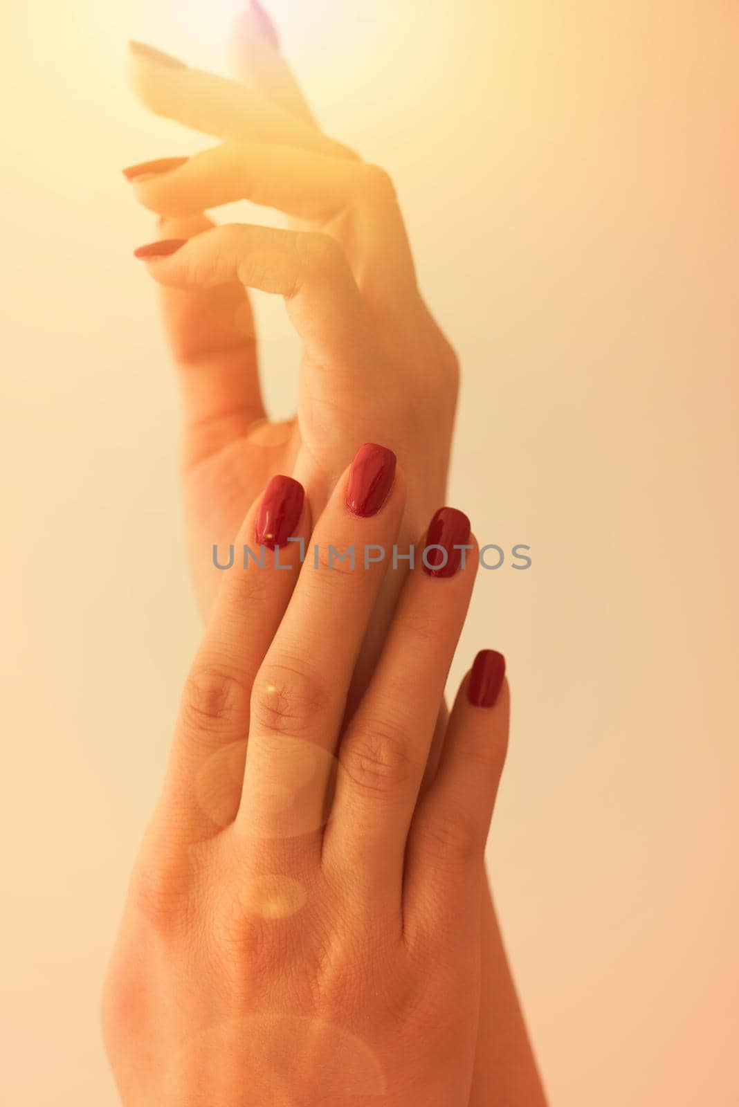 closeup of hands of a young woman with long red manicure on nails against white background